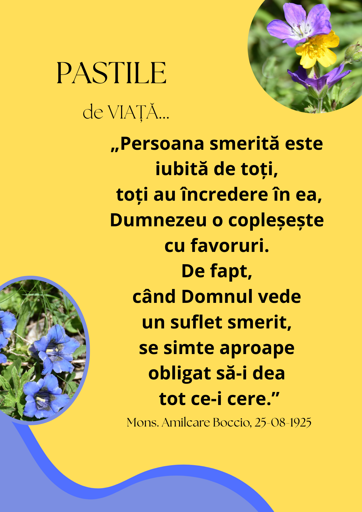 Piccole Figlie del Sacro Cuore di Ges&ugrave;